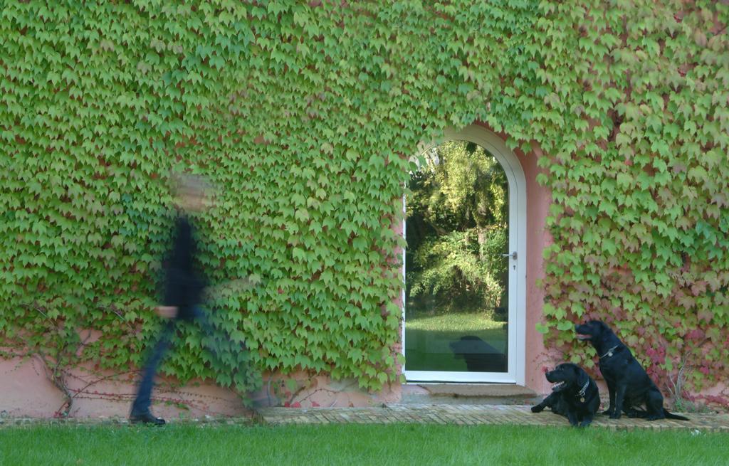 Le Versegge Resort Braccagni Quarto foto